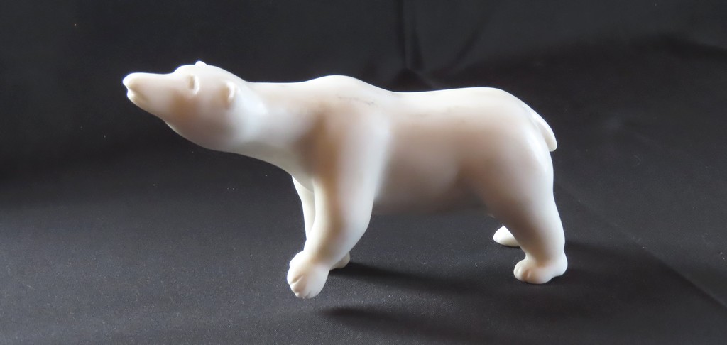 Ours polaire