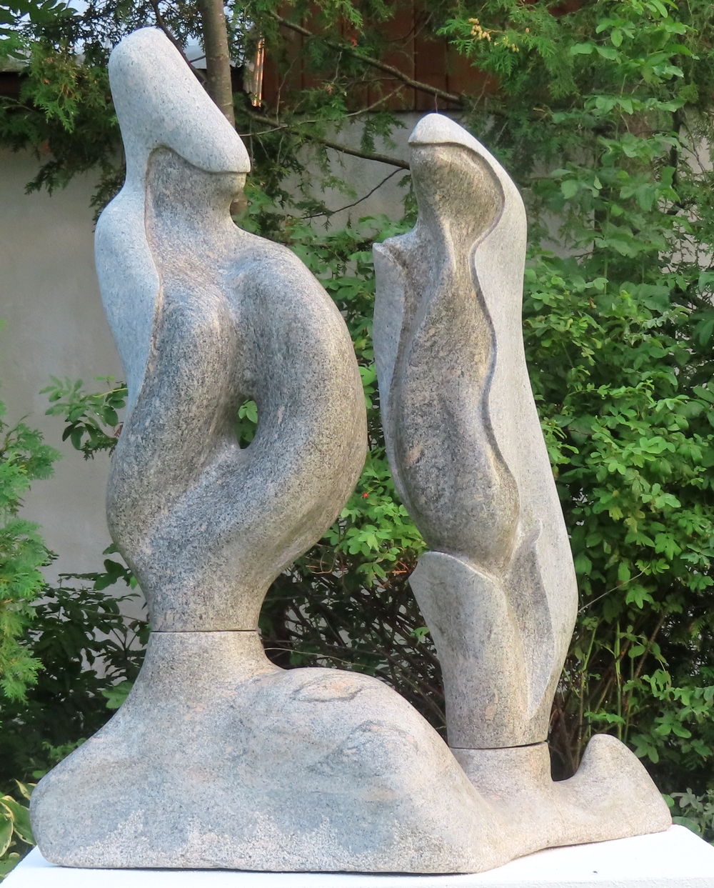 Image Link